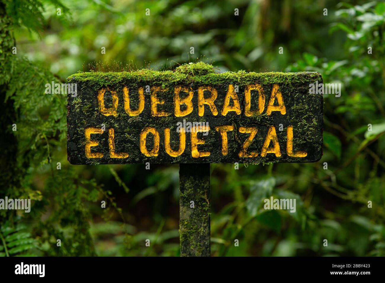 Trail marker for the Quebrada El Quetzal at the Santa Elena Cloud Forest Reserve in Monteverde, Costa Rica. Stock Photo