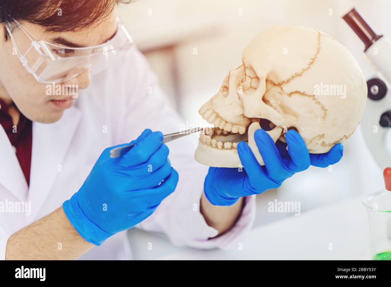 Physical anthropology Scientist study human teeth in ancient skull to define bone age in science lab Stock Photo