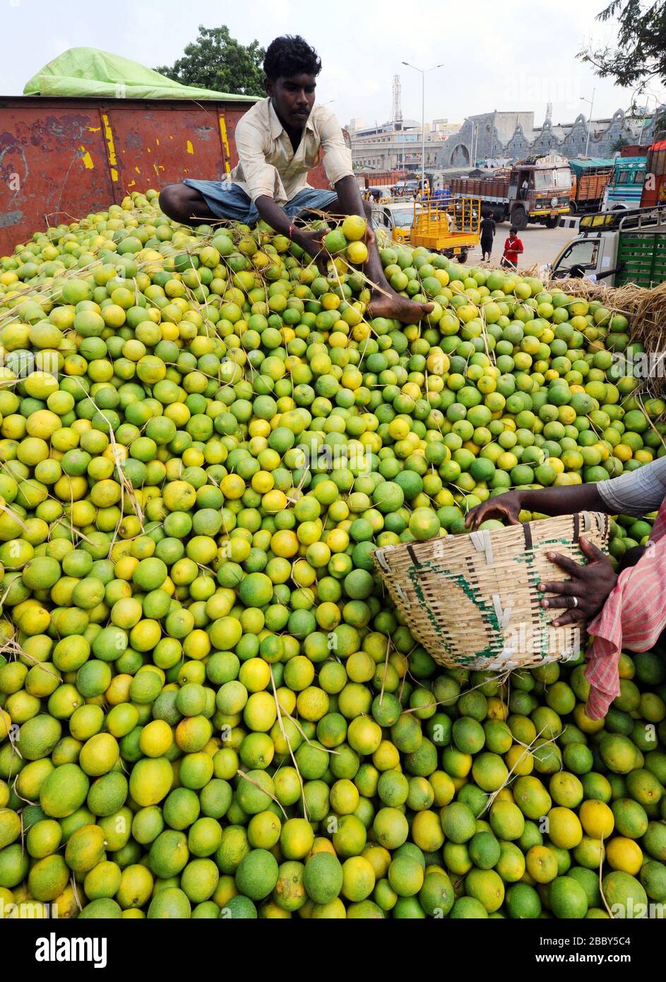 Sweet lime wholesale market, Mosambi is a popular tropical fruit. Sweet limeon (Citrus limetta) fruit for sale in market at koyambedu market, Chennai Stock Photo