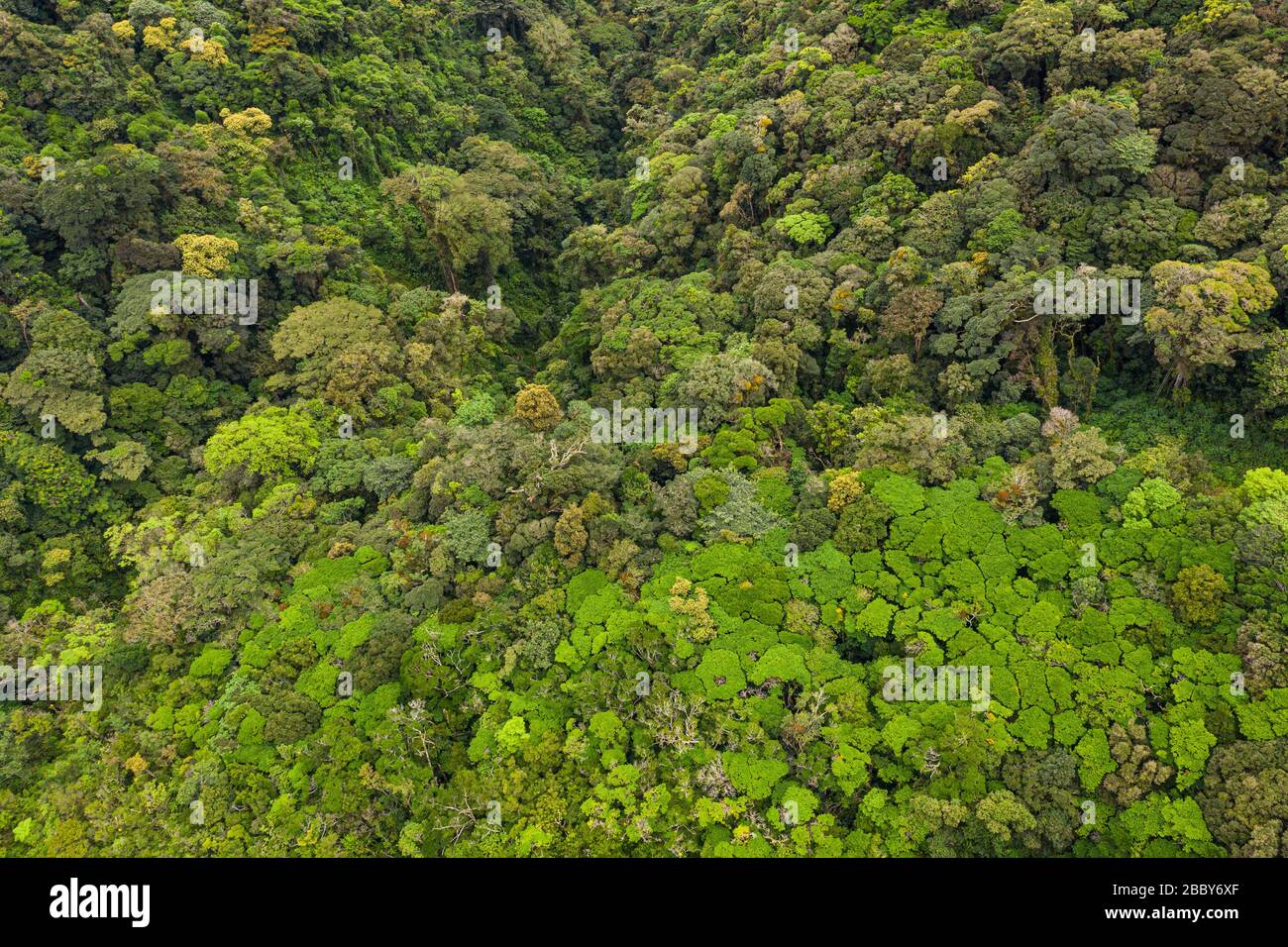 Aerial view of the Monteverde Cloud Forest Biological Reserve, Puntarenas Province, Costa Rica. Stock Photo