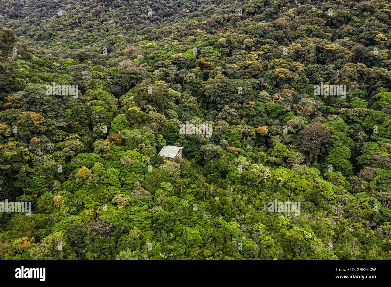 Aerial view of the Monteverde Cloud Forest Biological Reserve, Puntarenas Province, Costa Rica. Stock Photo