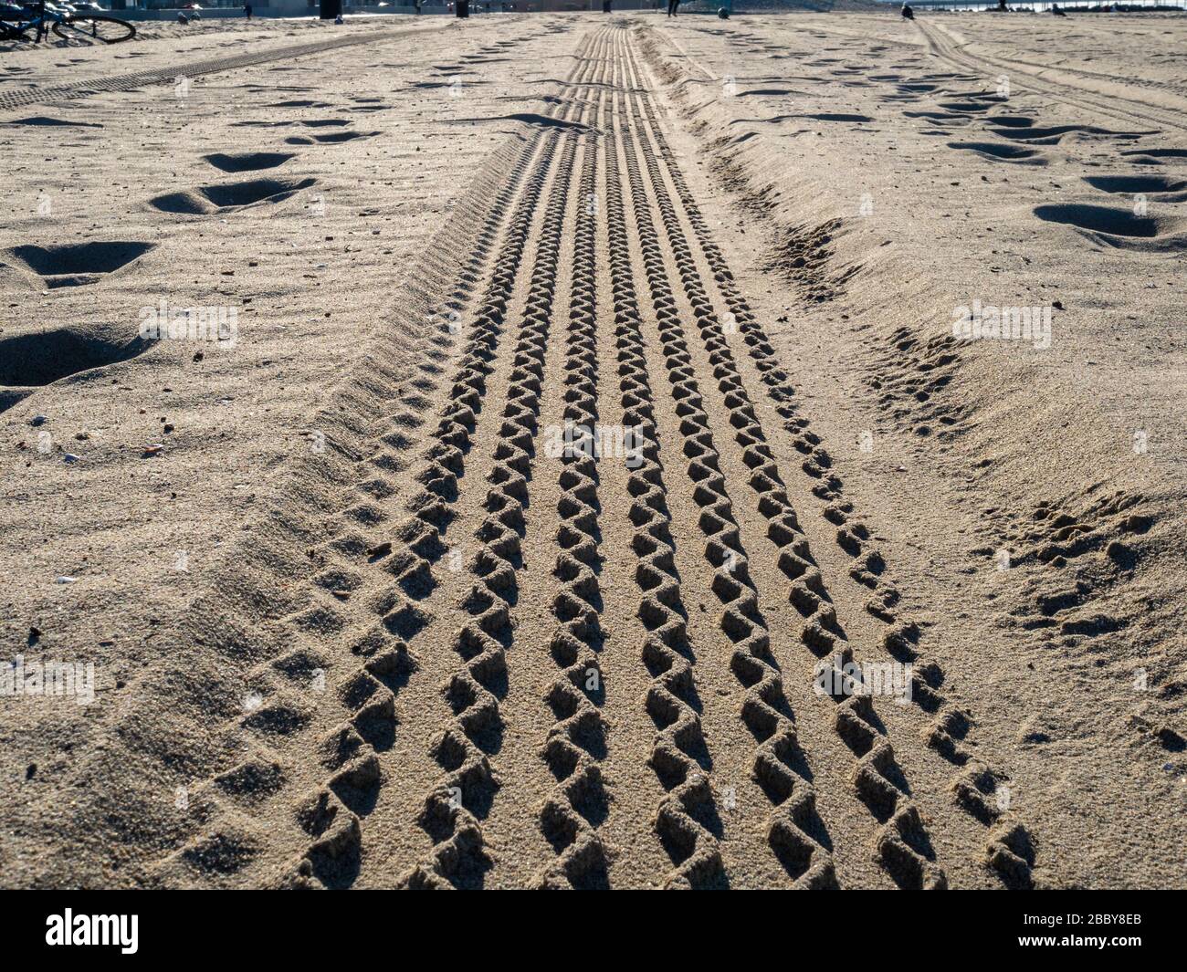 Tire tread marks from car or atv on sandy beach on sunny day Stock