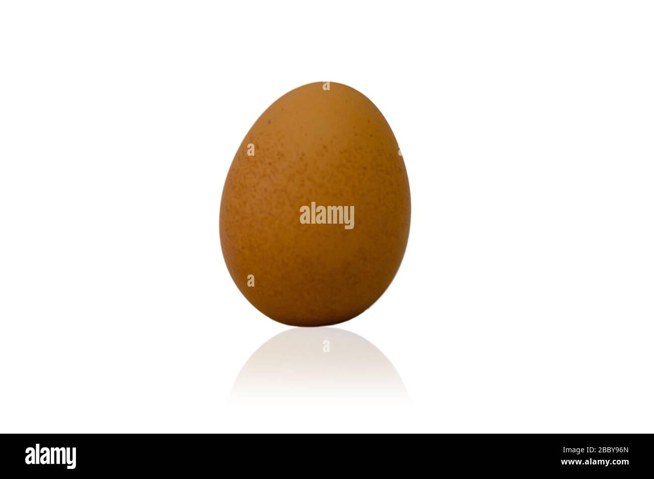 Chicken eggs on a white background. Stock Photo