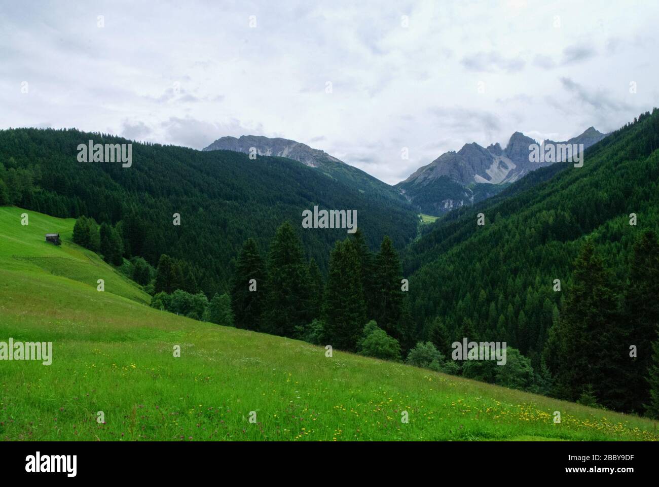 Summer view to meadow and mountain range in Axamer Lizum area, Tyrol, Austria Stock Photo