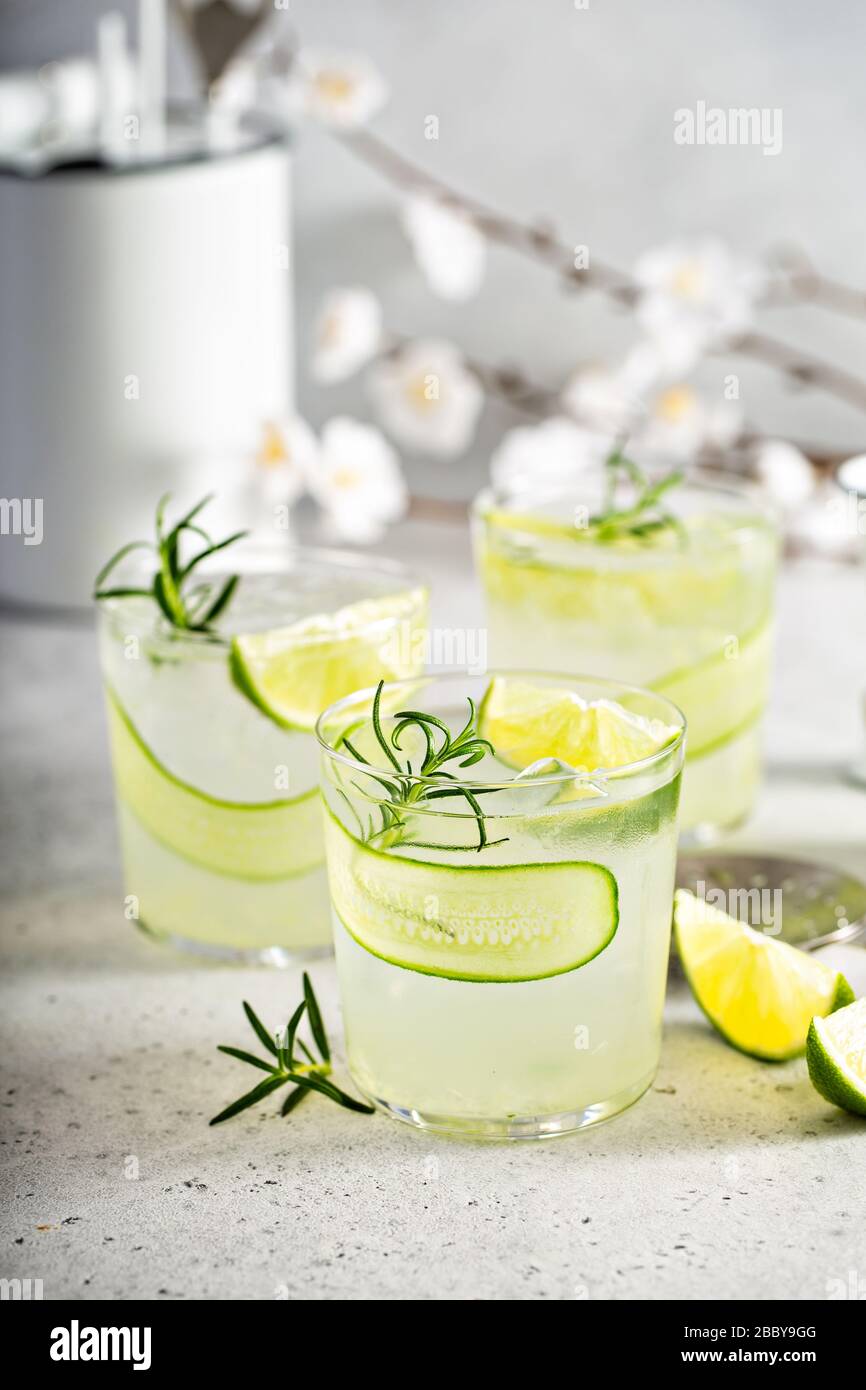 Cucumber gin gimlet Stock Photo Alamy