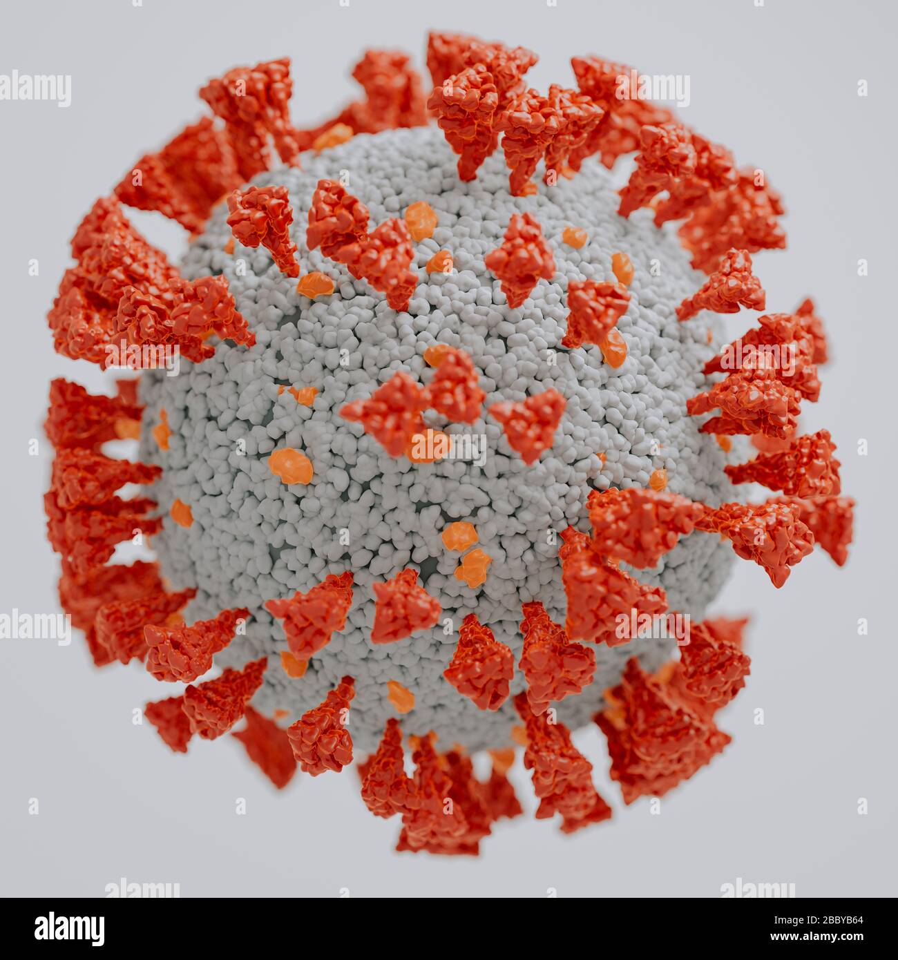 Structure of the sars cov 2 hi-res stock photography and images - Alamy