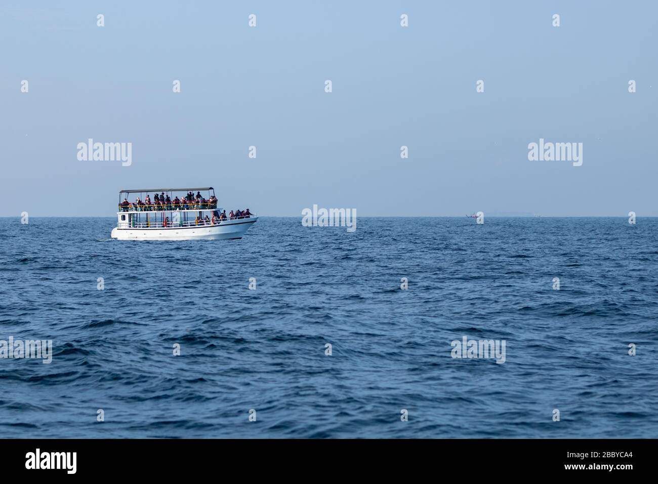 Whale and Dolphin watching on Ship in deep blue ocean as entertainment and tourism activity Stock Photo