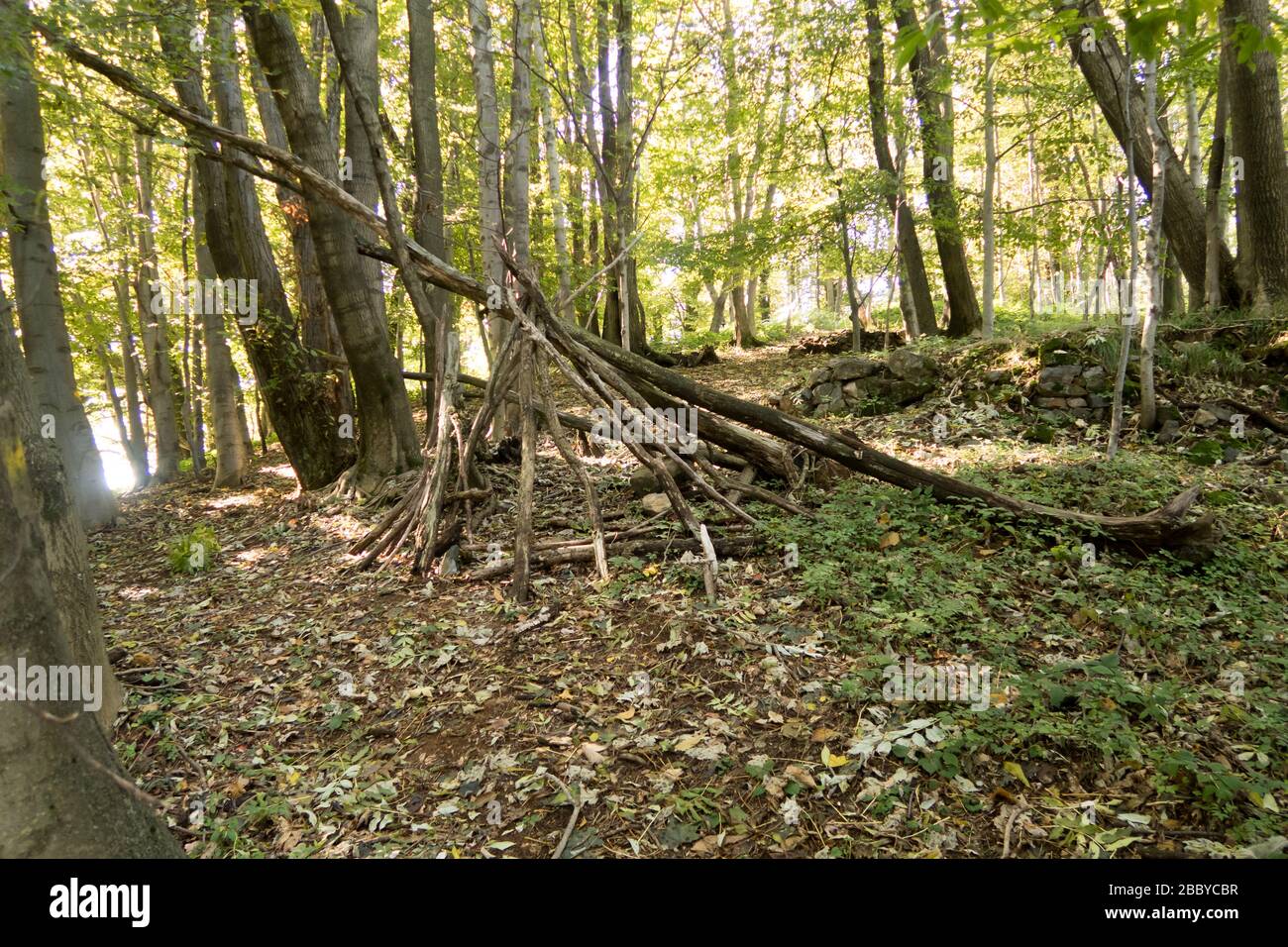 A makeshift shelter in a forest in Italy Stock Photo