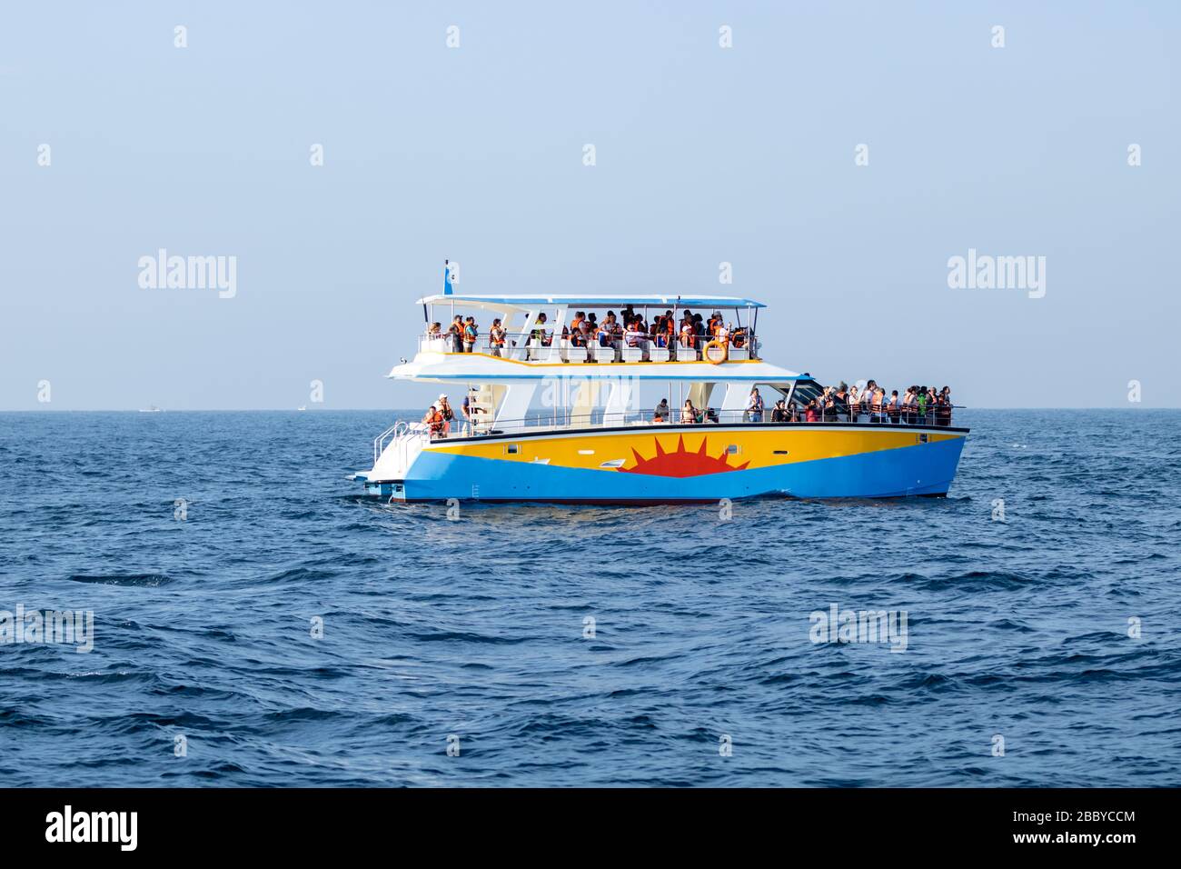 Whale and Dolphin watching on Ship in deep blue ocean as entertainment and tourism activity Stock Photo