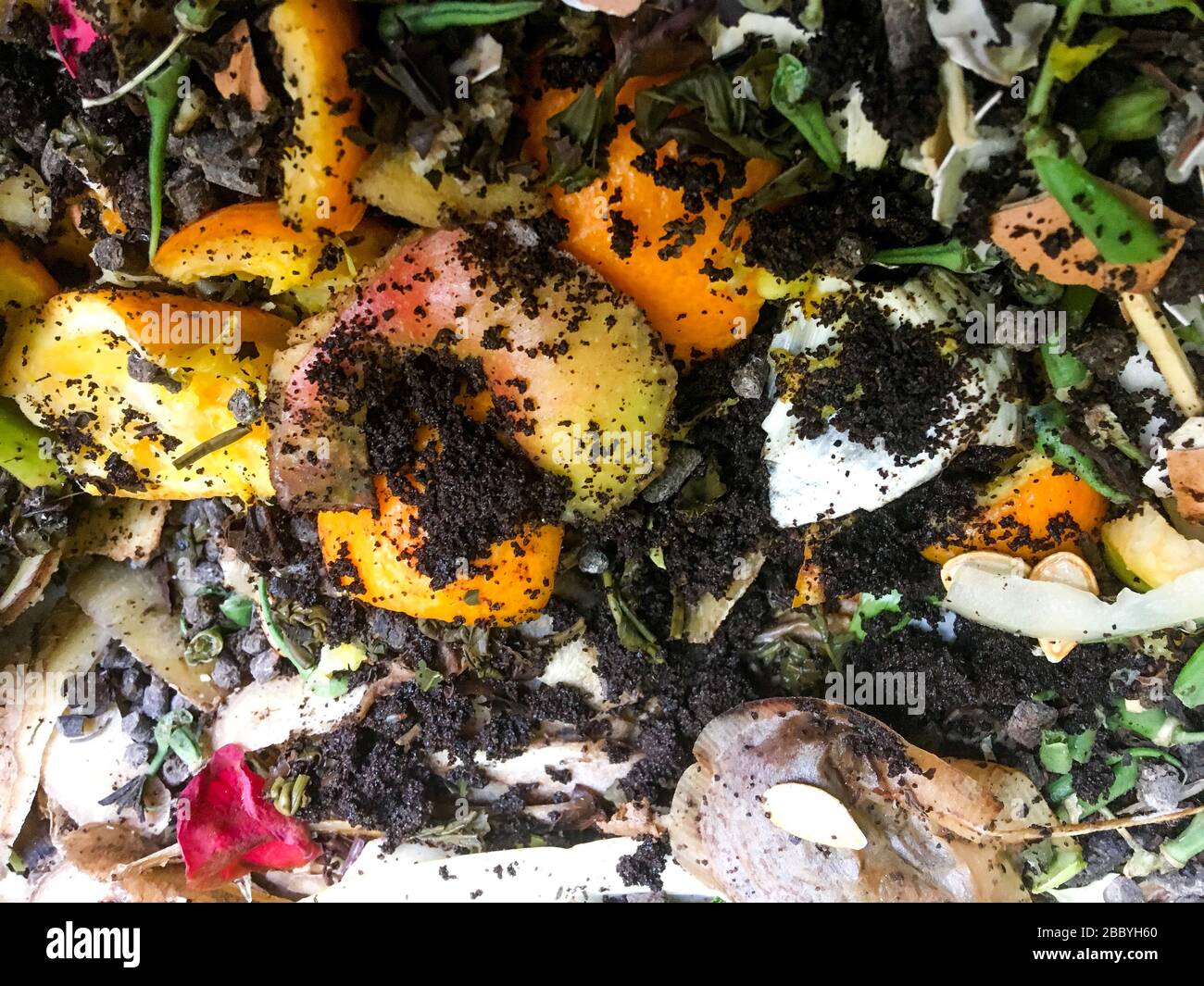 Fruits and vegetables decaying in a compost container, Lyon, France ...
