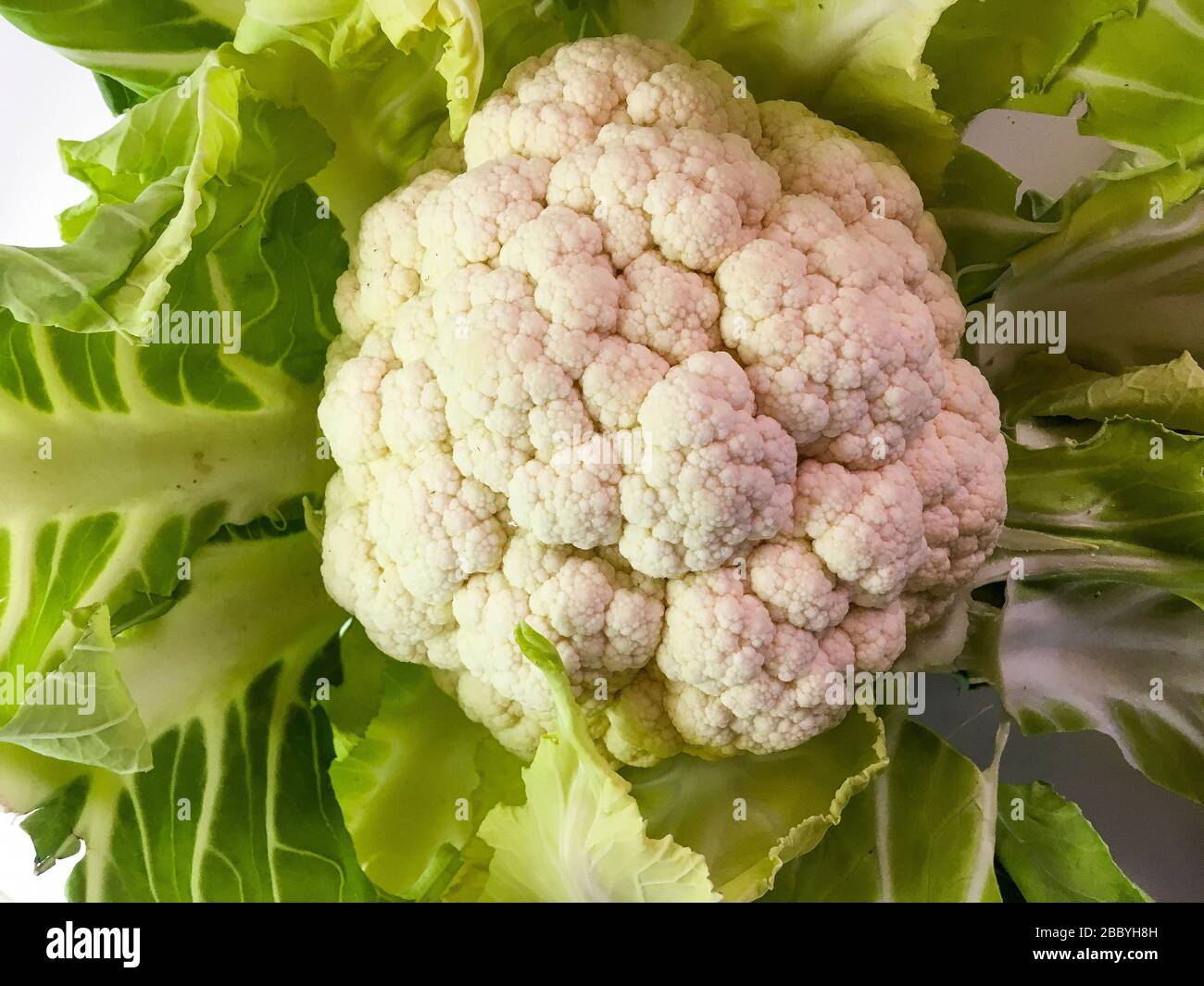 Fresh cauliflower, Lyon, France Stock Photo
