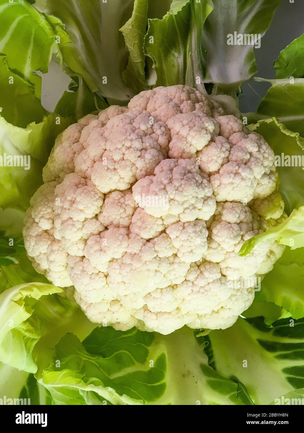 Fresh cauliflower, Lyon, France Stock Photo