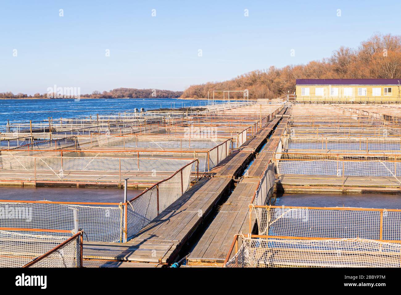 Tanks outdoors of farm for industrial breeding sturgeon fish. Stock Photo