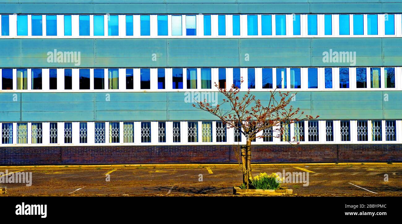 Generic office flat working buildings tree and car park Stock Photo