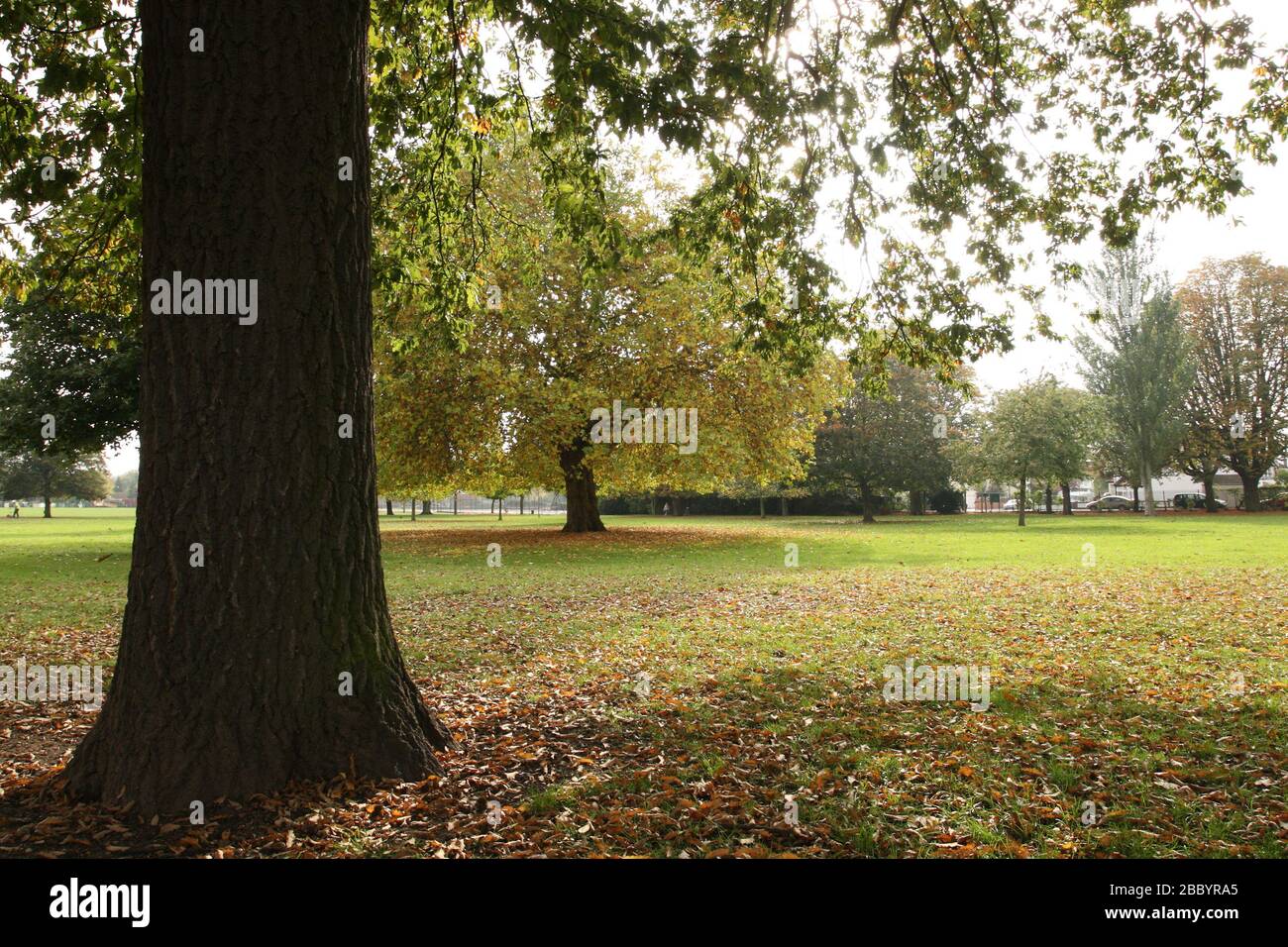 General view of trees in the park. Valentines Park, Ilford, London