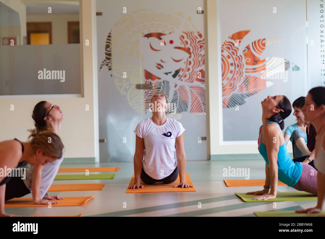 Hatha yoga class in progress Stock Photo