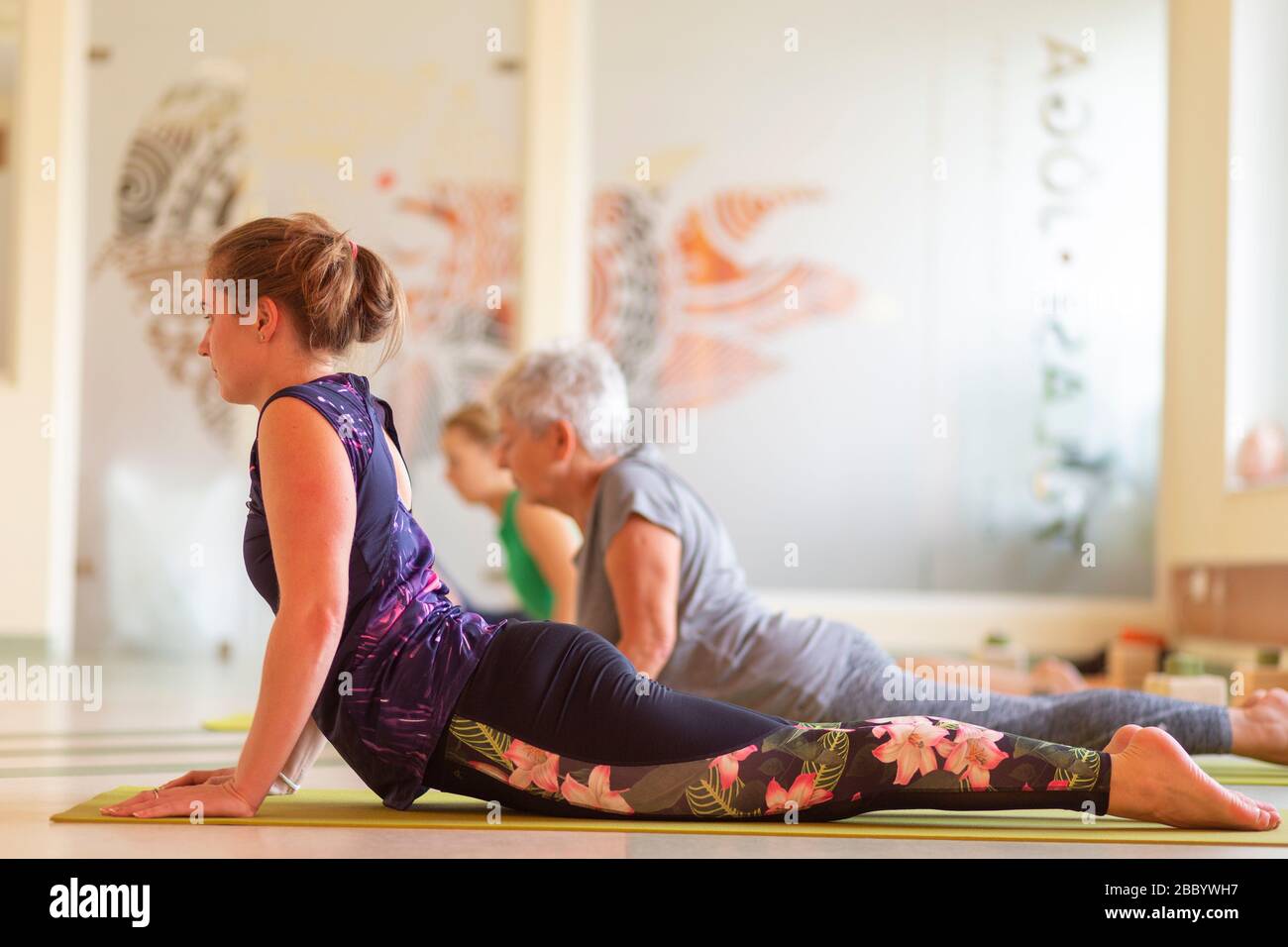 Hatha Yoga Class In Progress Stock Photo Alamy
