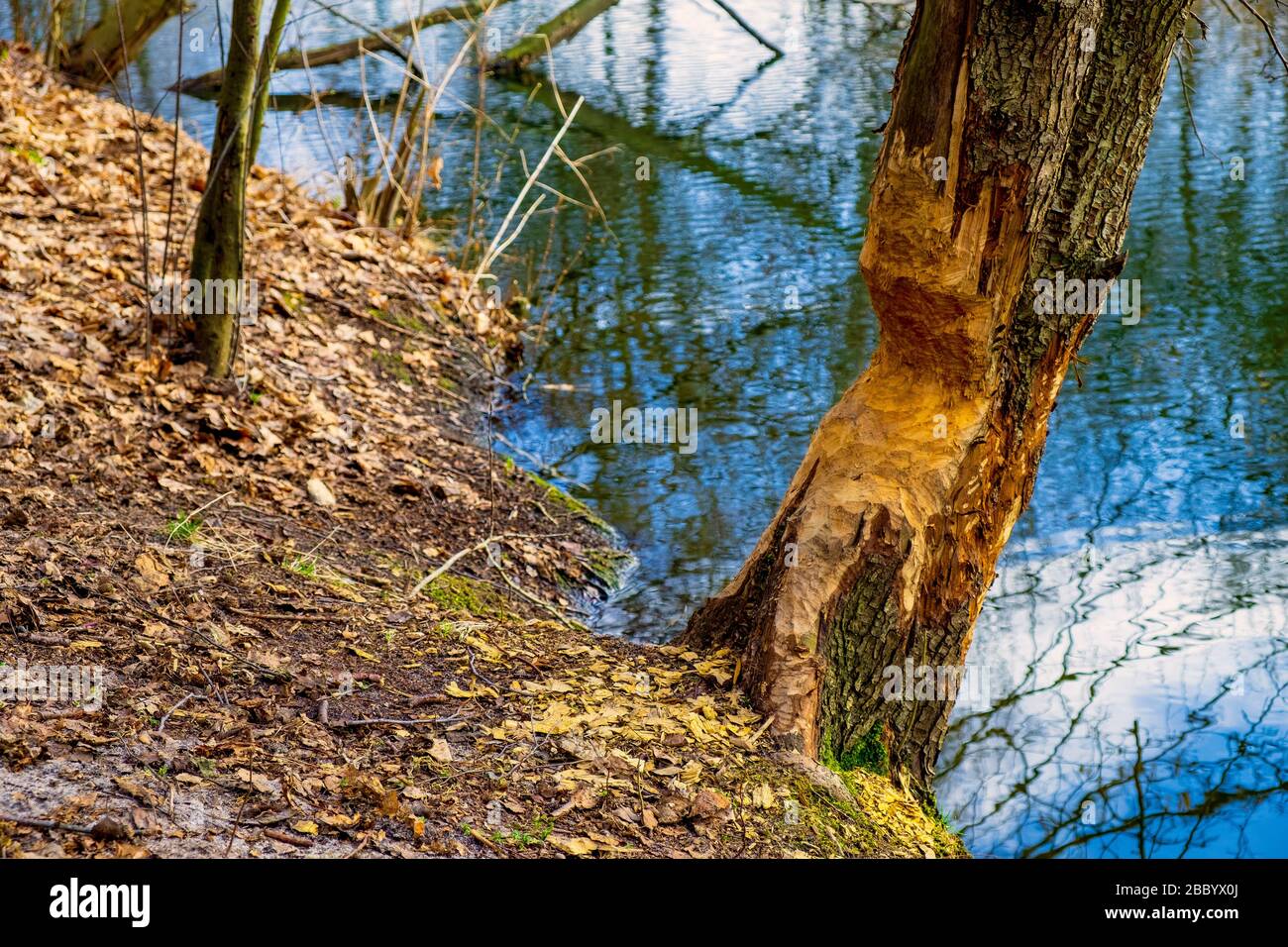 Undercut river hires stock photography and images Alamy