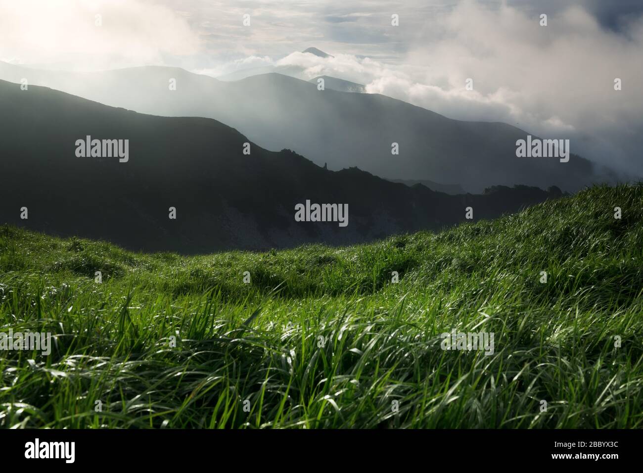 Lush green grass covered mountains meadow in summer time. Soft sunrise light glowing on a foreground. Landscape photography. Nature background Stock Photo