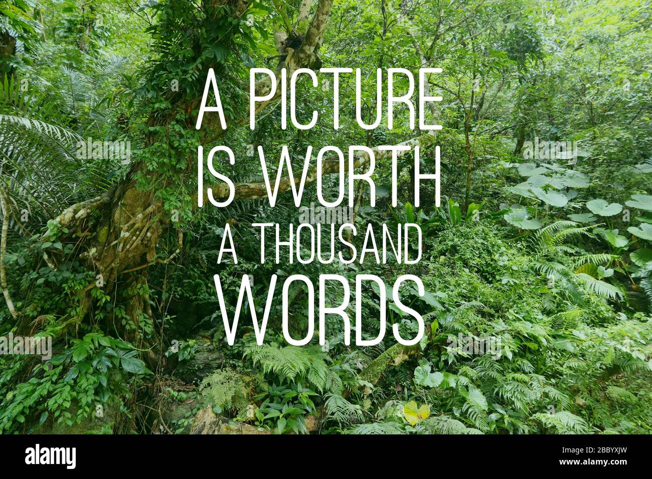 Picture is worth a thousand words. Motivational quote sign. Success motivation Stock Photo Alamy