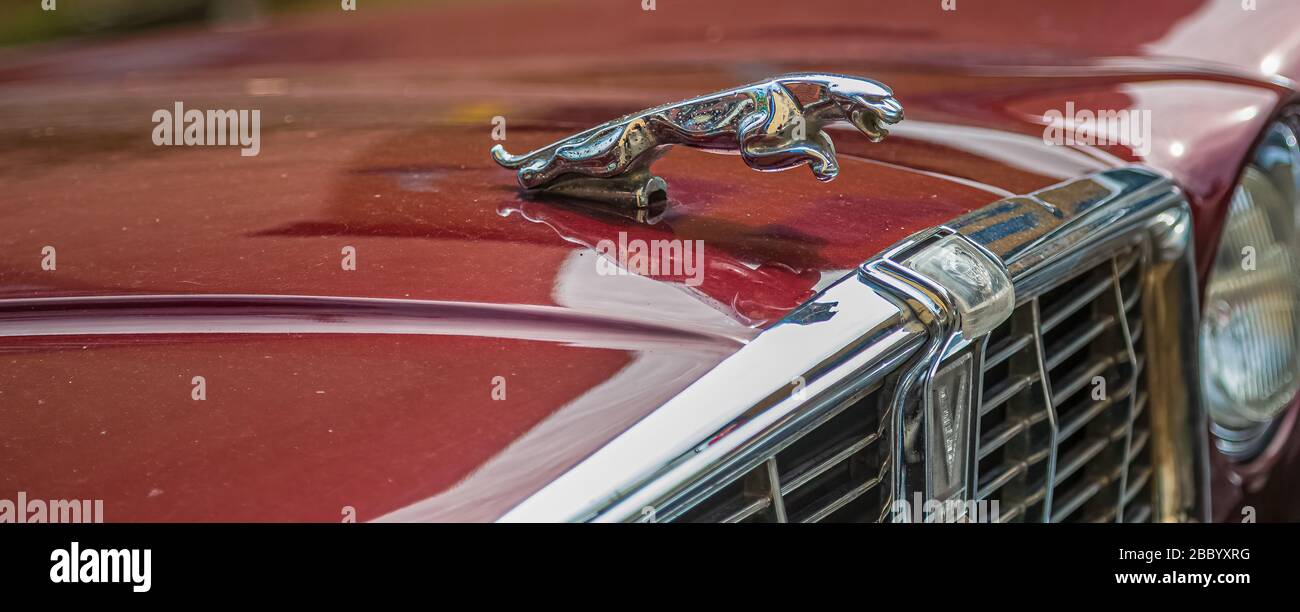 Jaguar Hood Ornament Stock Photo Alamy