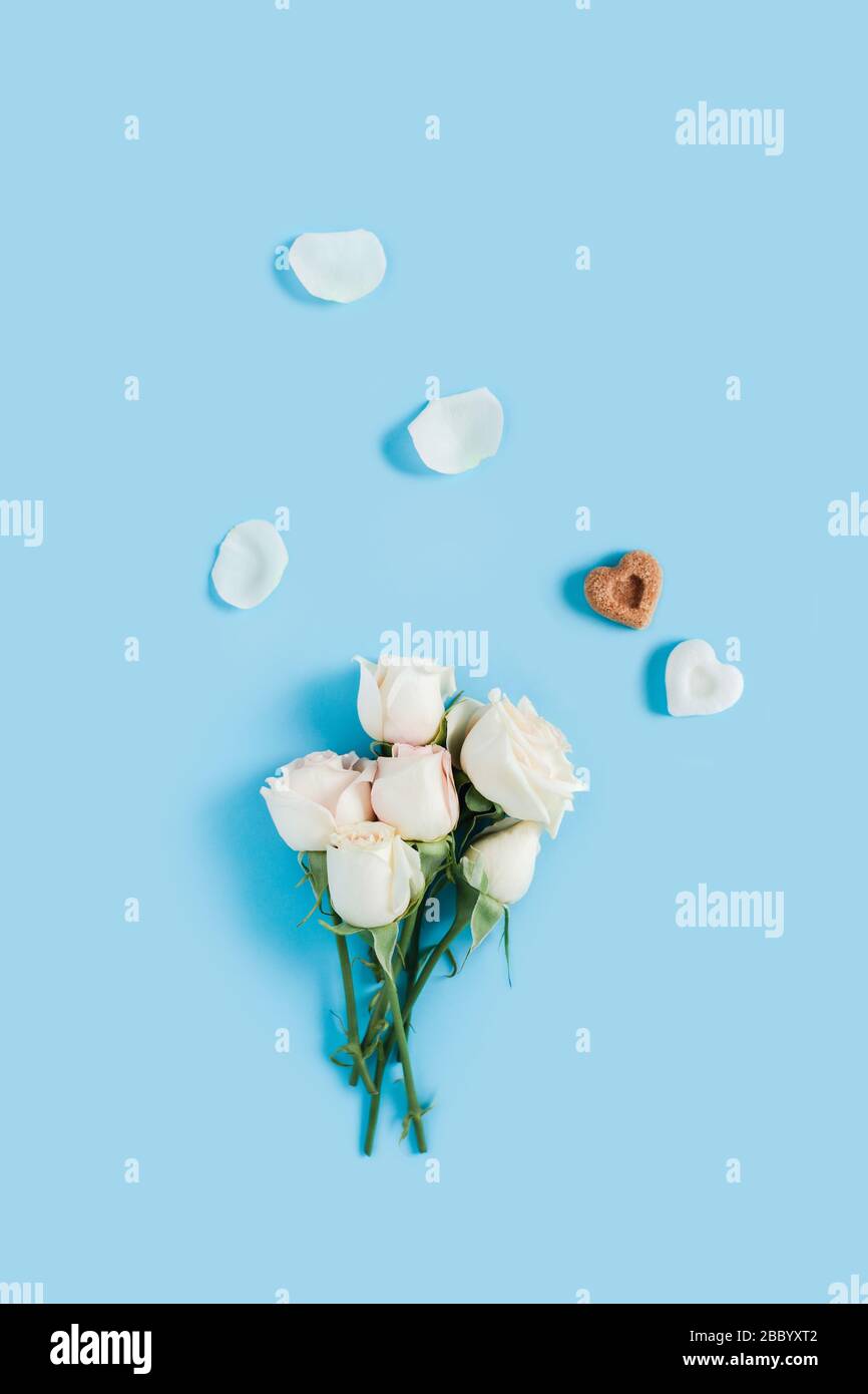 Vertical morning card. White roses on a blue background with scattered petals and two pieces of sugar in the shape of hearts. Stock Photo