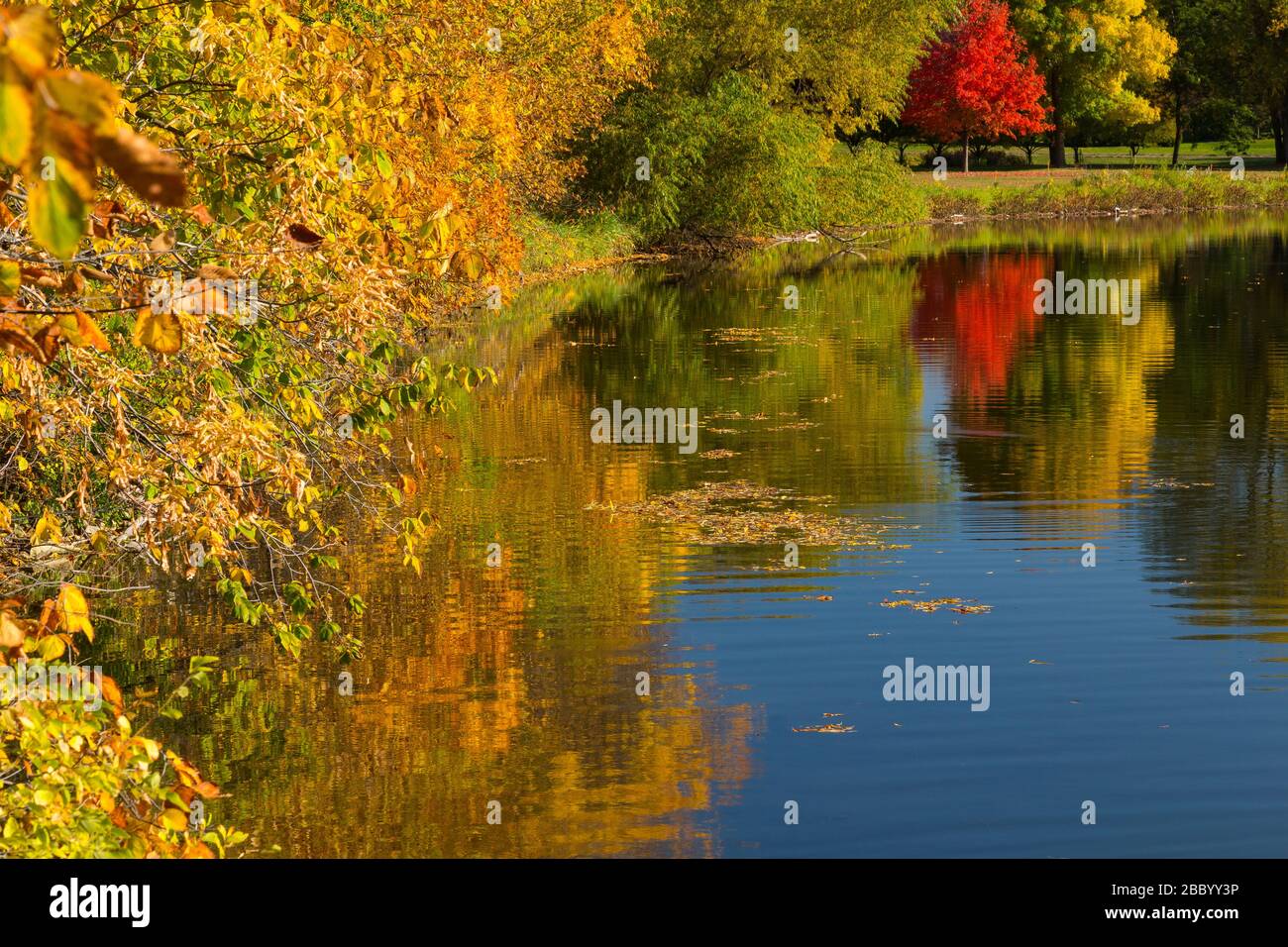 A scenic reflective lake landscape in autumn Stock Photo - Alamy