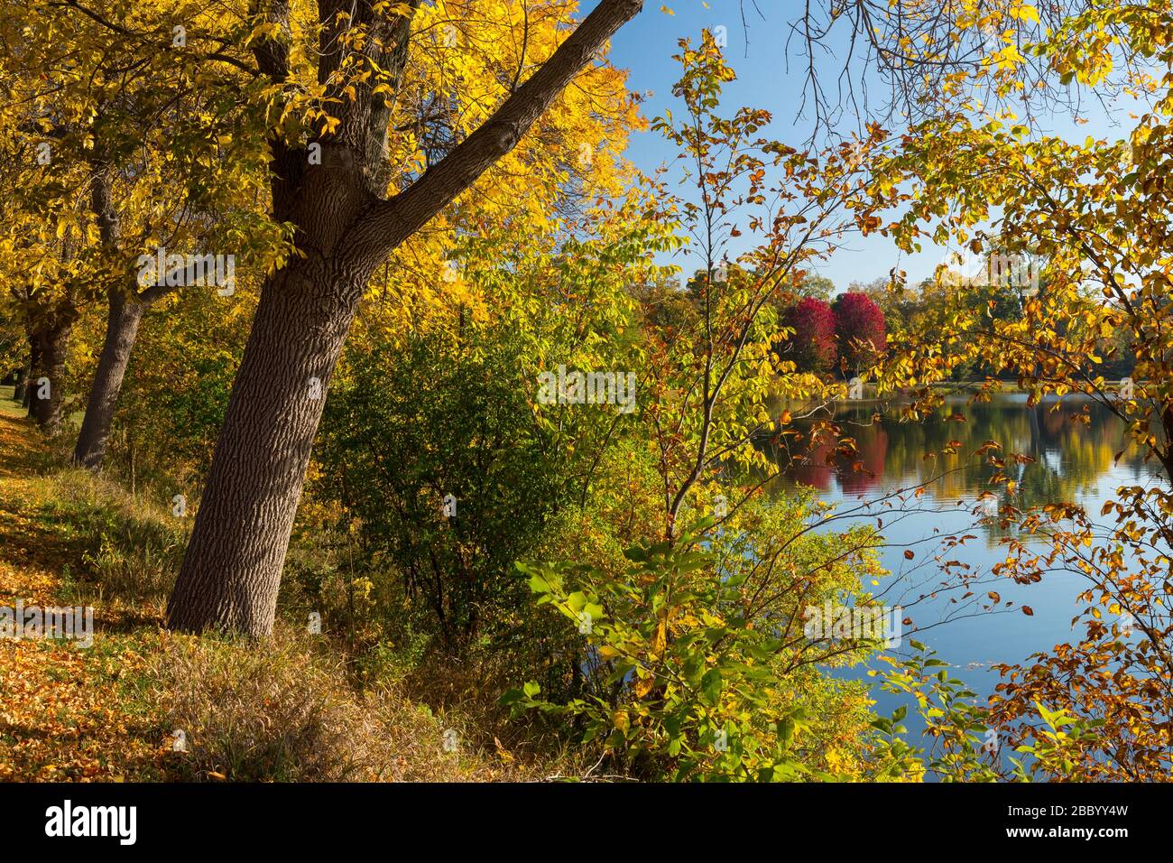 A scenic reflective lake landscape in autumn Stock Photo - Alamy