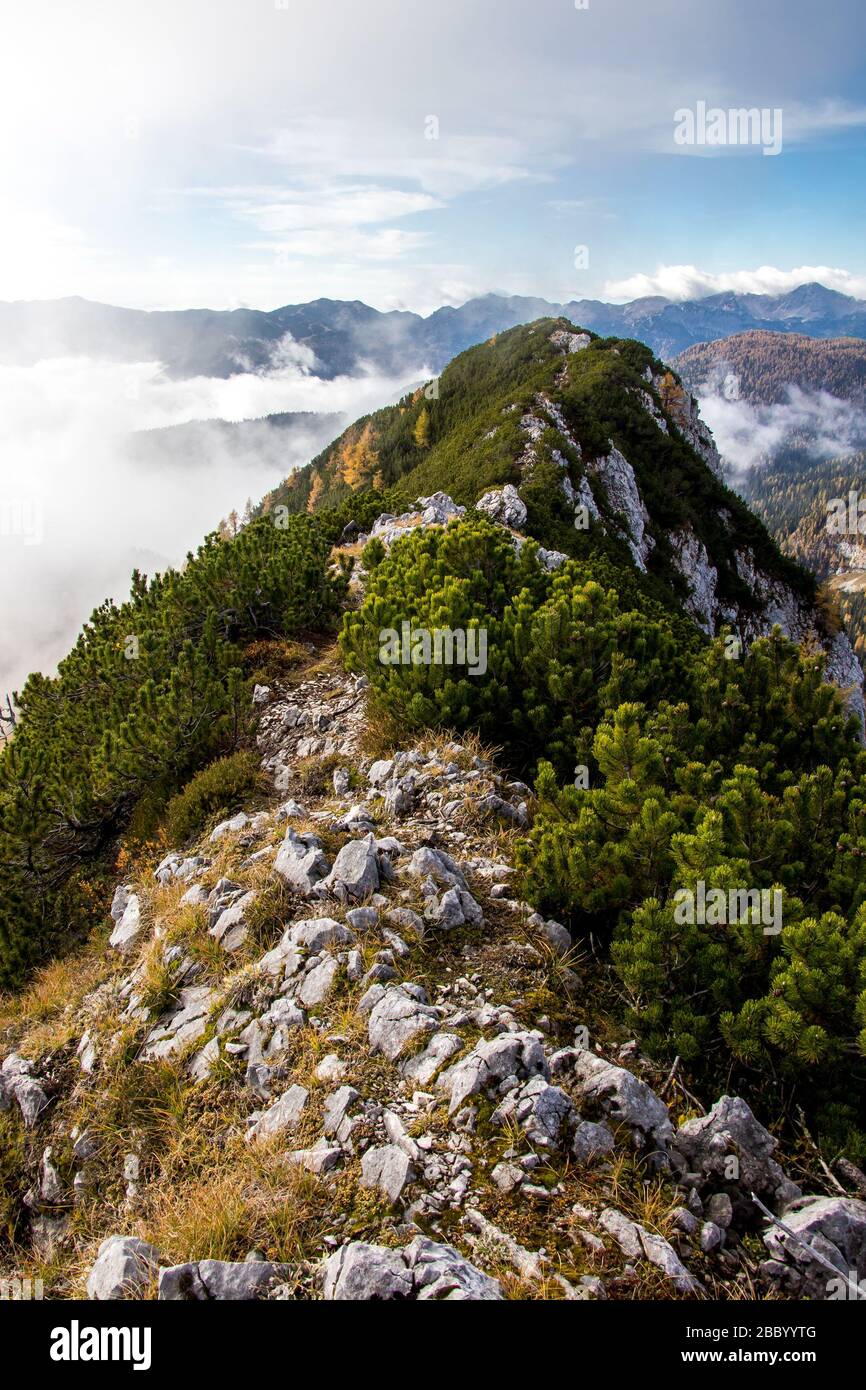 Narrow Ridge Path Narrow forest path leading hi-res stock photography and images - Alamy