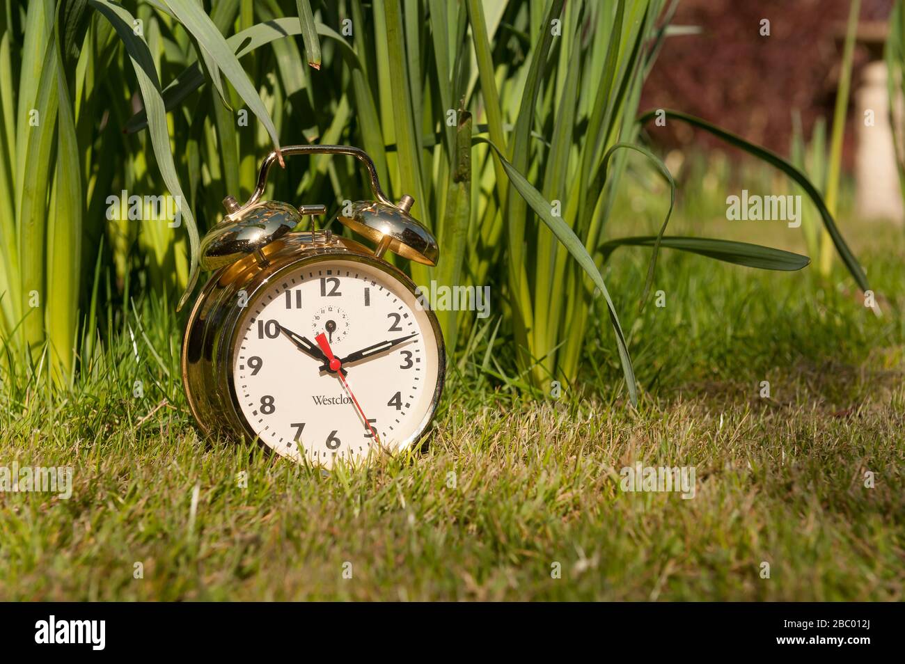Clocks spring forward in March losing an hours sleep gaining longer evening daylight, British
