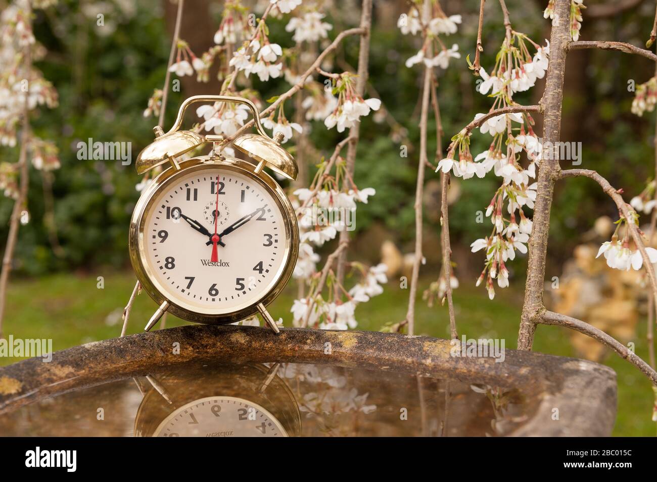 Clocks spring forward in March losing an hours sleep gaining longer