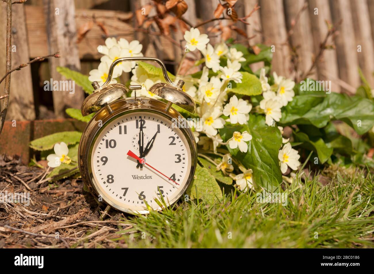 Clocks spring forward in March losing an hours sleep gaining longer evening daylight, British