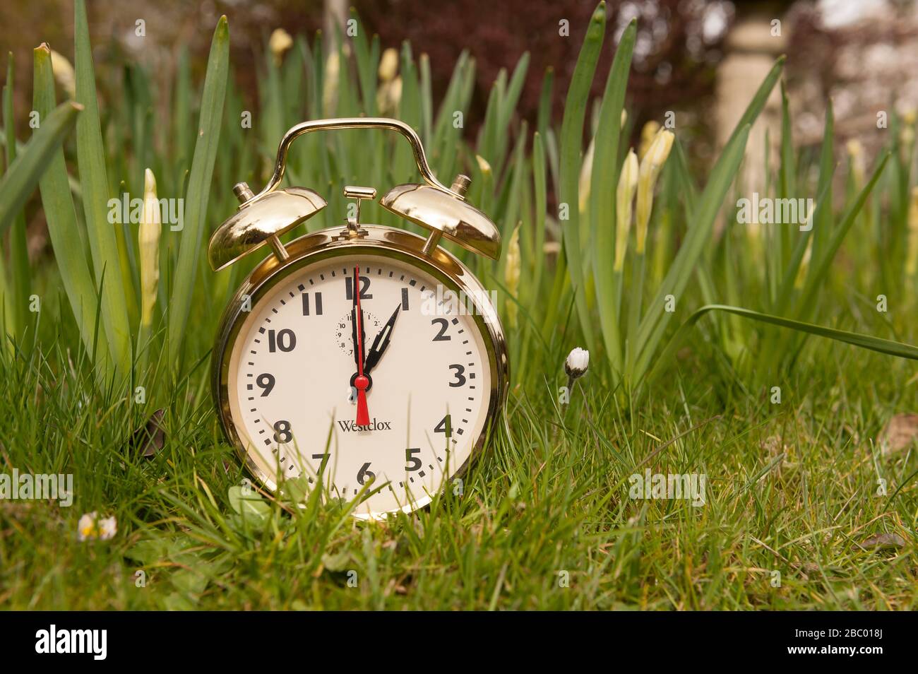 Clocks spring forward in March losing an hours sleep gaining longer