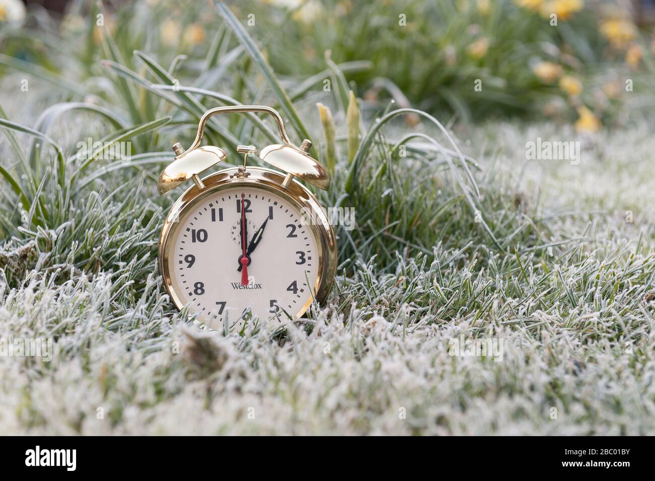 Clocks spring forward in March losing an hours sleep gaining longer