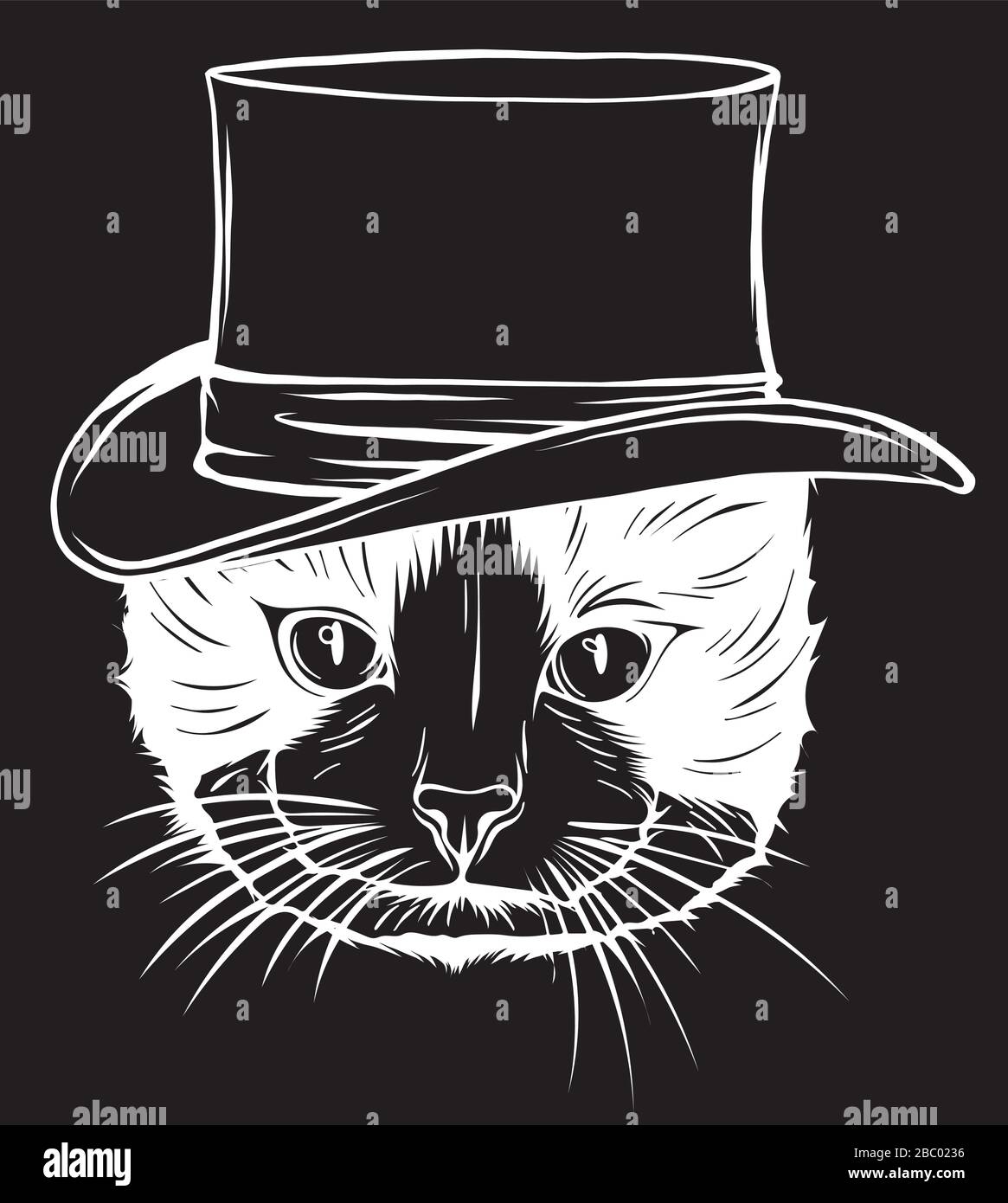 Cat gentleman in a hat in black background Stock Vector