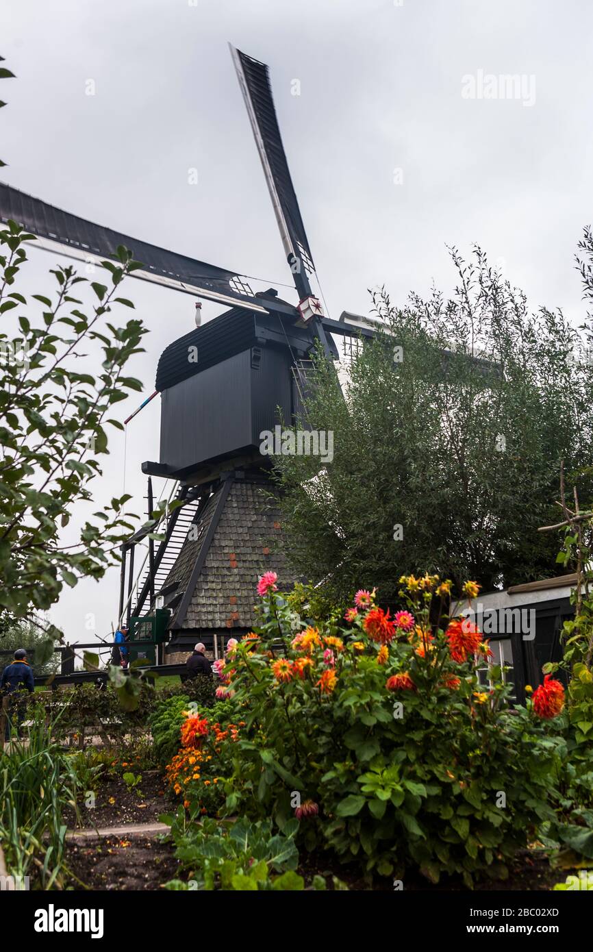 The Blokweer polder windmill (1631), Kinderdijk, UNESCO World Heritage Site, South Holland, Netherlands: from the productive vegetable garden Stock Photo