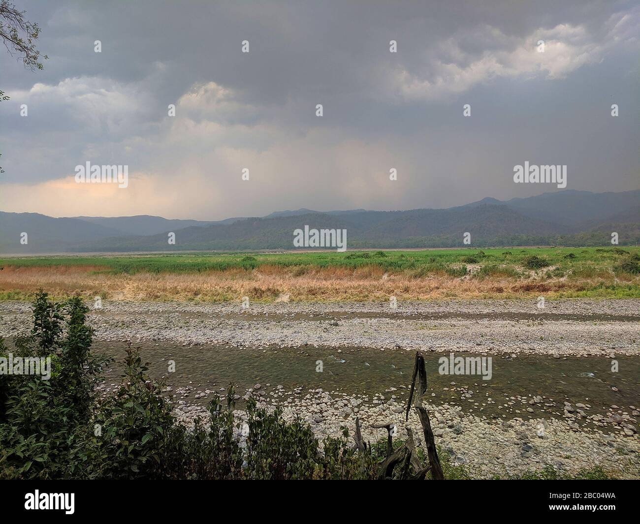 Jim Corbett National Park Landscape picture, Uttarakhand, India Stock Photo