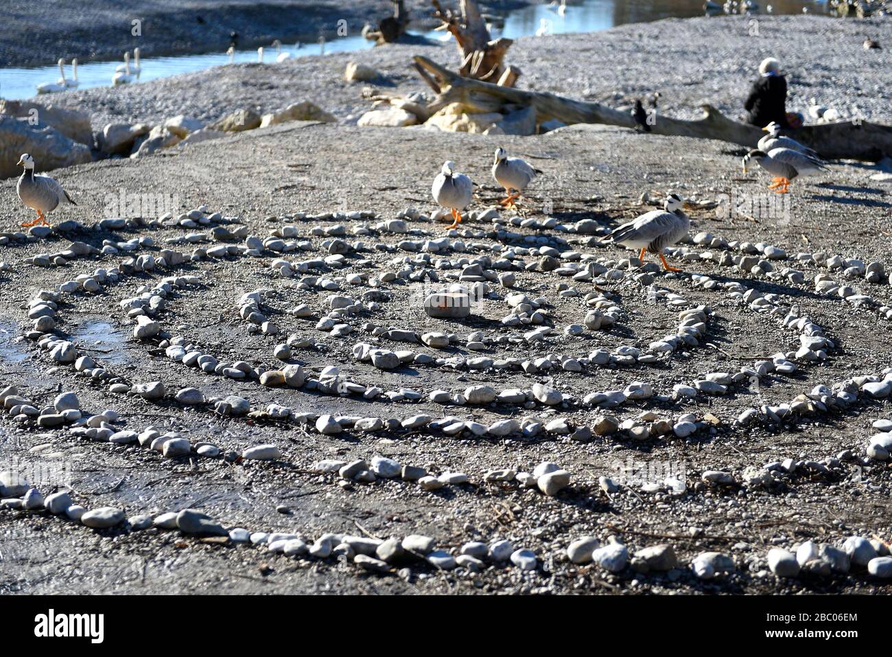 A woman enjoys a sunny January day at the Flaucher on the Isar river with 9 degrees outside temperature. In the foreground someone has put a spiral of stones. [automated translation] Stock Photo
