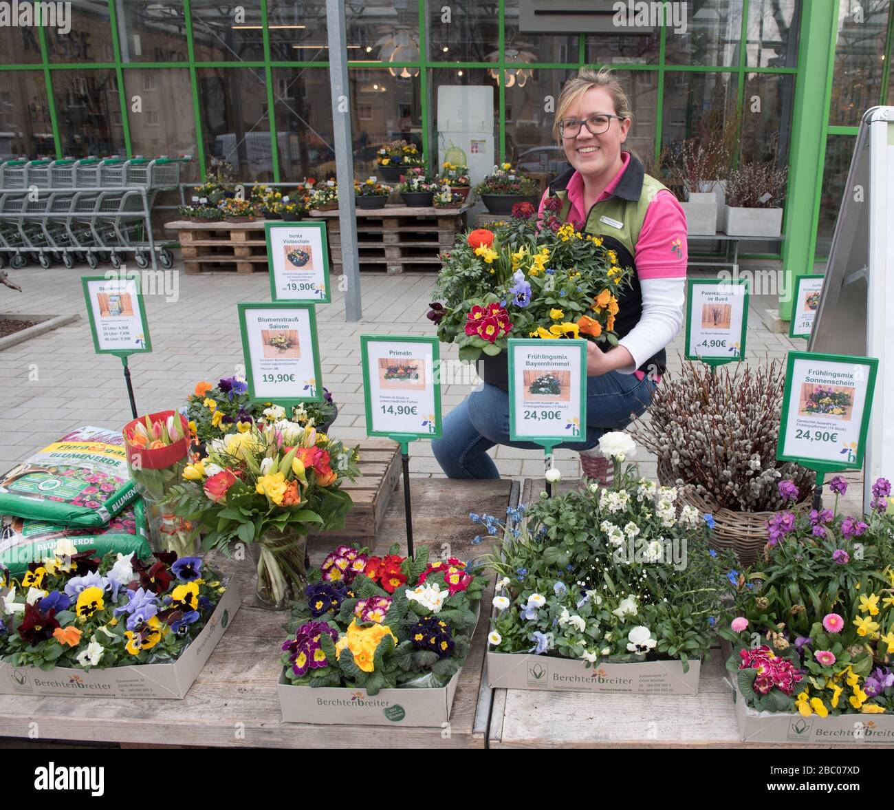 The Berchtenbreiter nursery in Obergiesing has set up a flower taxi to supply its customers with flowers during the corona-related exit restrictions. The picture shows Alexandra Berchtenbreiter with a part of the flower selection that can be ordered online. [automated translation] Stock Photo