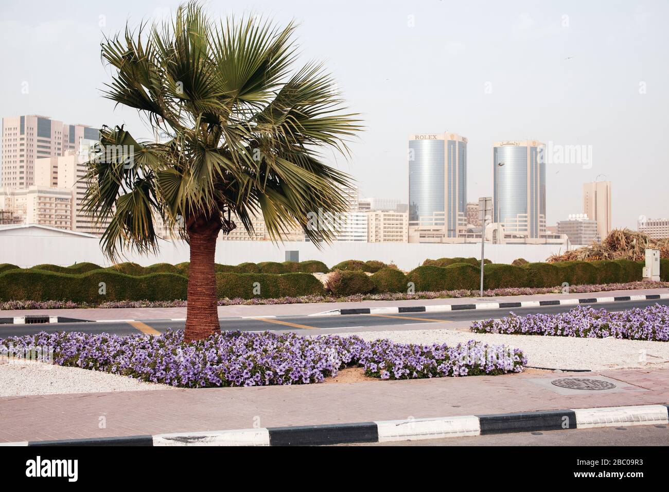 Landscape architecture at Dubai Creek. Stock Photo
