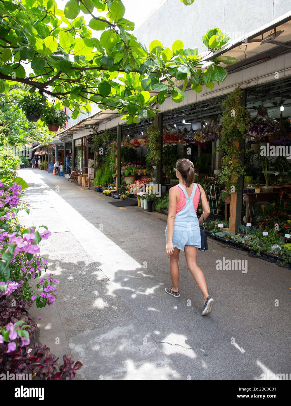 A girl walks through a Market place full of plant and flower stalls Stock Photo