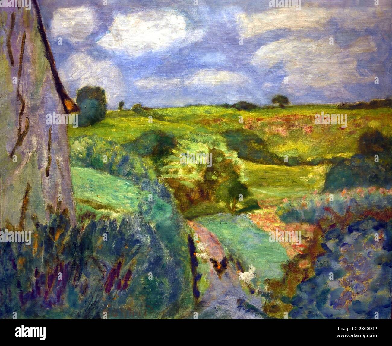The Dipping Path 1922 Pierre Bonnard, 1867 - 1947, France, French, Stock Photo
