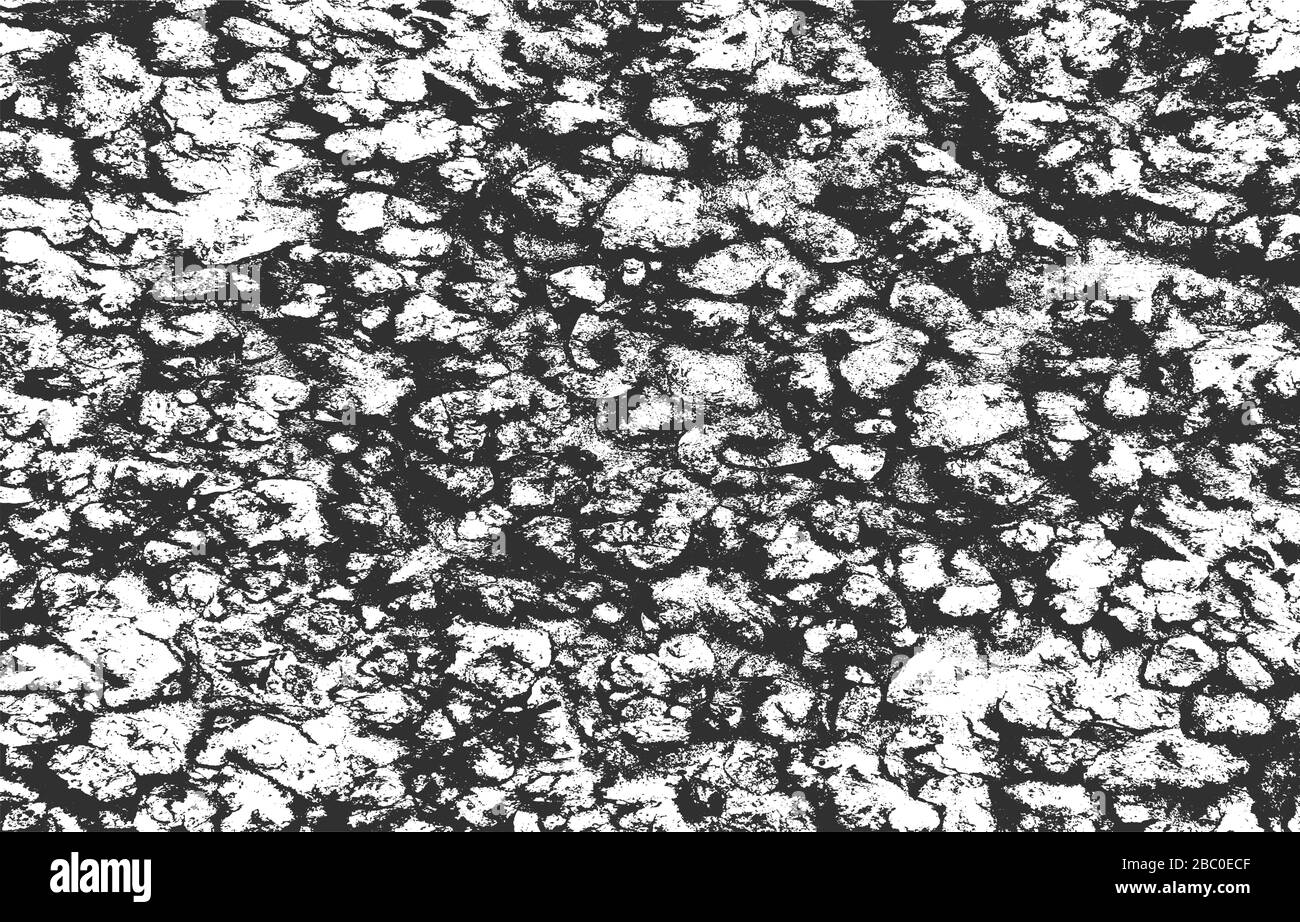 Distress old cracked concrete vector texture. EPS8 illustration. Black and white grunge background. Stone, asphalt, plaster, marble. Stock Vector