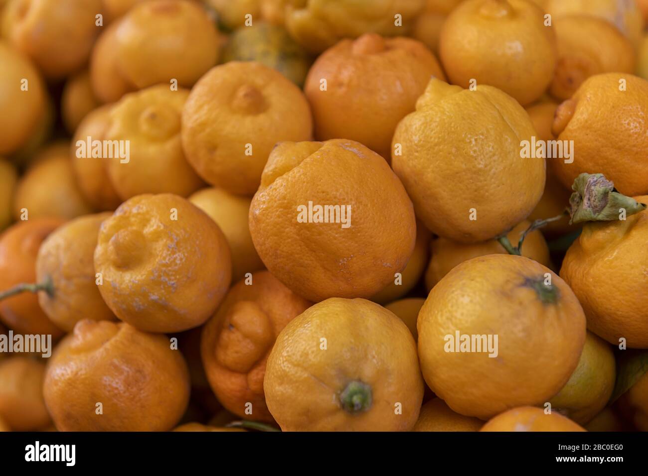 Fresh organic Moroccan lemon at a farmers market. Gastronomic speciality. Stock Photo