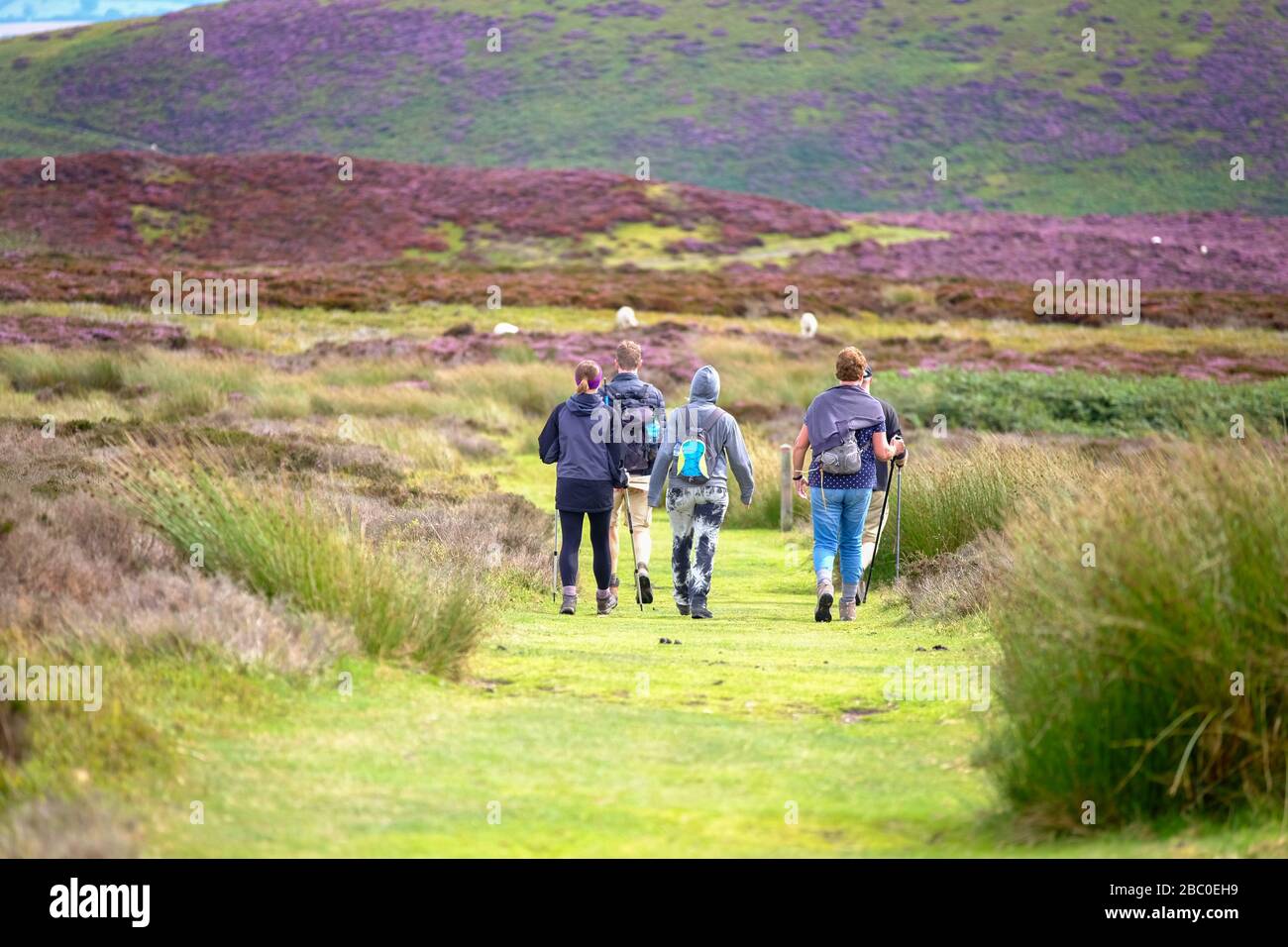 Family walking in the Long Mynd range on the outskirts of the town of Church Stretton in the Shropshire Hills Area of Outstanding Natural Beauty, UK Stock Photo