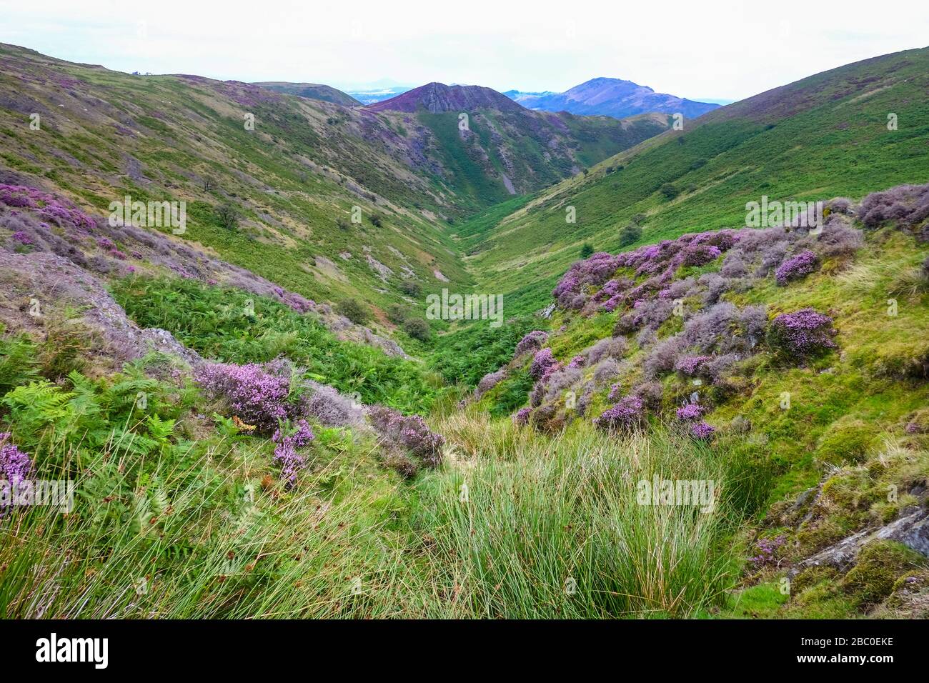 The Long Mynd range on the outskirts of the town of Church Stretton in the Shropshire Hills Area of Outstanding Natural Beauty, UK Stock Photo