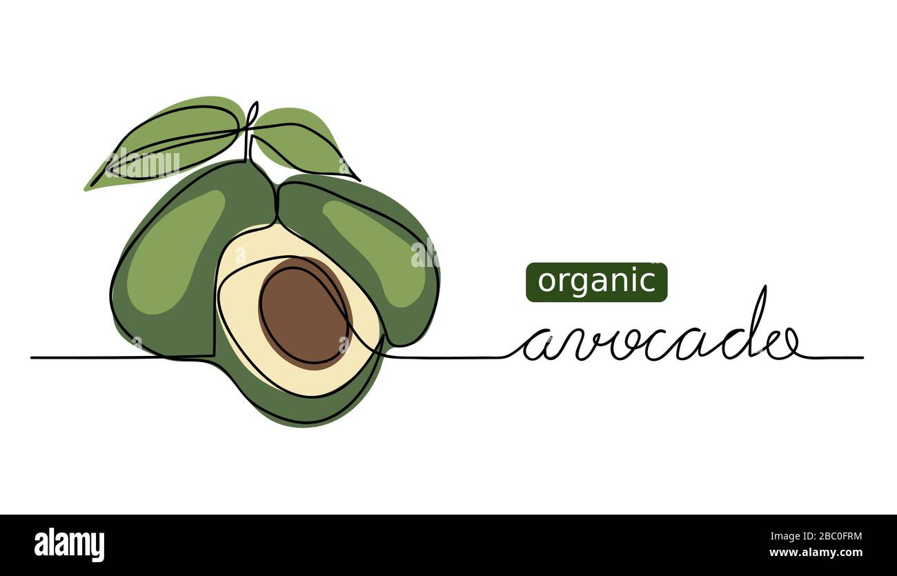Organic avocado vector doodle, sketch. One continuous line drawing Stock Vector