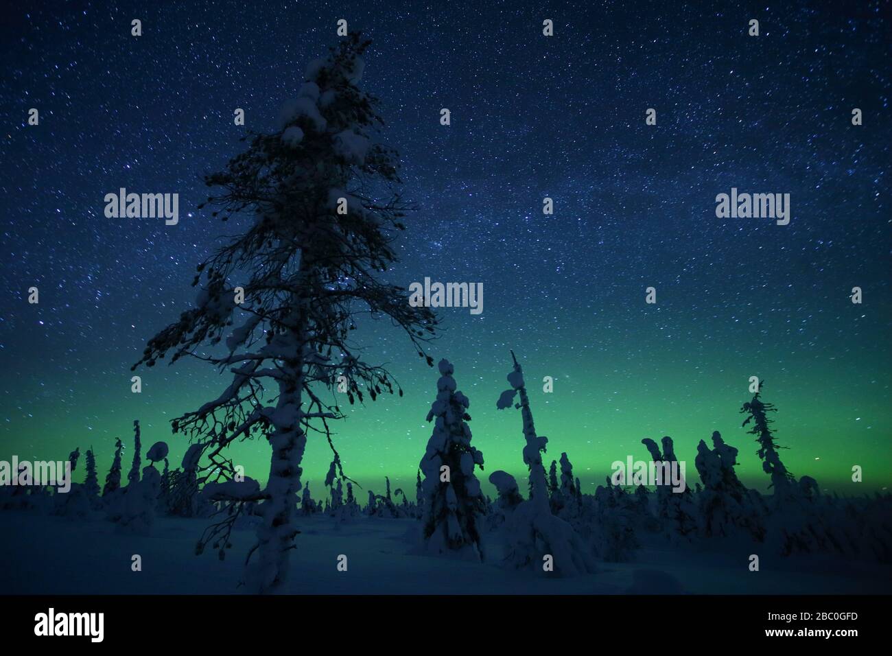 Northern lights in  Riisitunturi National Park, Lapland, Finland Stock Photo