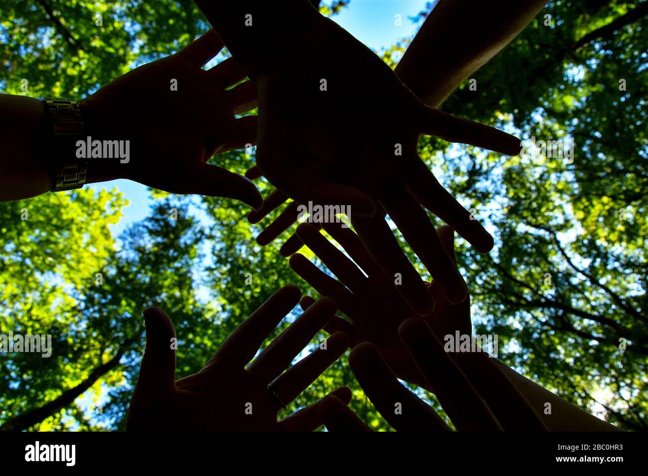 Conceptual image. Hands together in the nature. Stock Photo