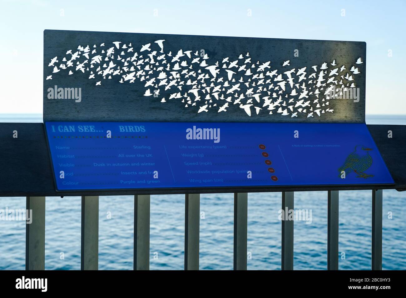 Educational plaque and sculpture featuring a murmuration of starlings on Hastings Pier, East Sussex, UK Stock Photo